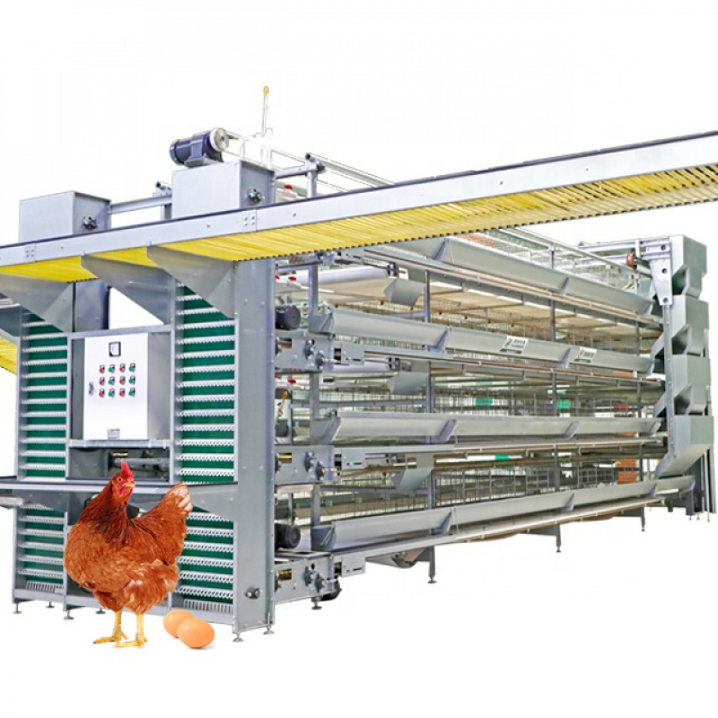 Farming System & Sustainable Agriculture - Sistema automatico per attrezzature per polli