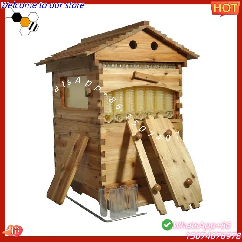 Arnia per api in abete cinese  - Beehive Frame Wax recensione e prezzo