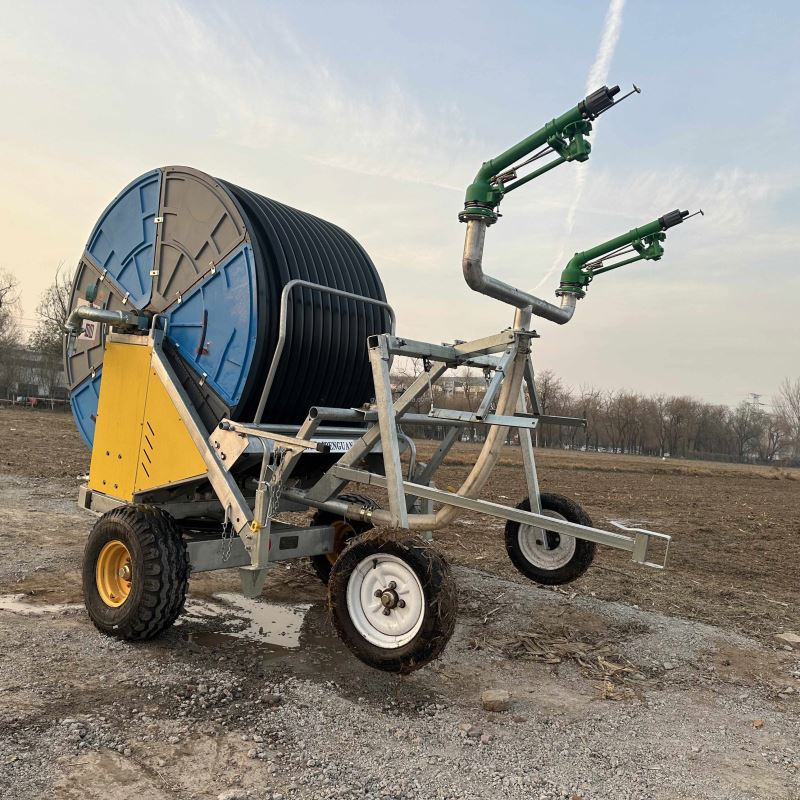 Nuovo Stile Moderno Macchinari - Farming System & Sustainable Agriculture recensione e prezzo