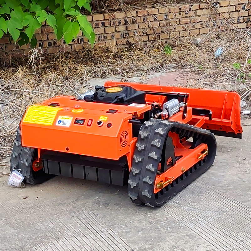 Aiweiya 550 CE EPA personalizz - Farming Year recensione e prezzo