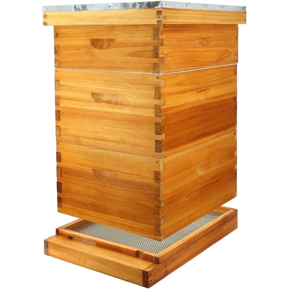 Kit Arnia a 10 Telaini con Fon - Beehive Frame Wax recensione e prezzo