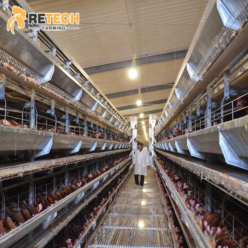 Sistema automatico per attrezz - Farming System & Sustainable Agriculture recensione e prezzo