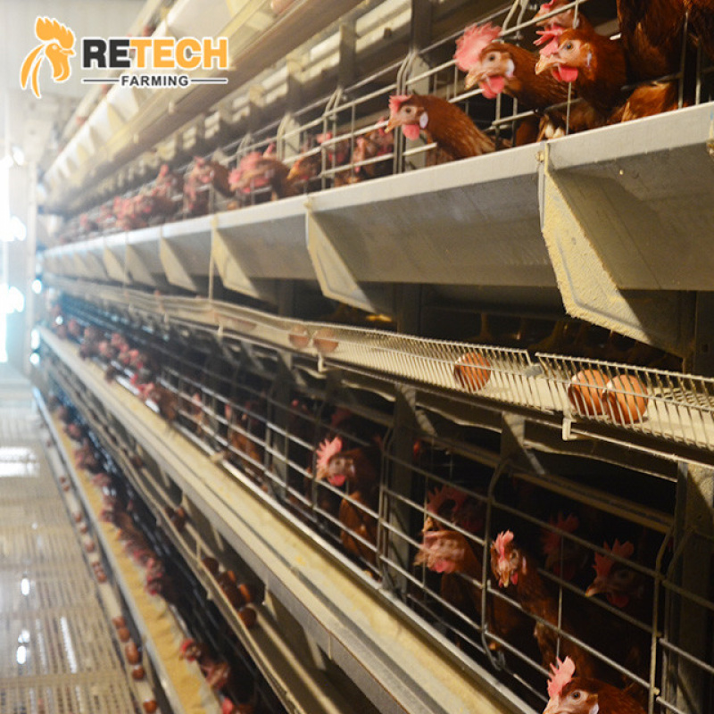 Sistema automatico per attrezz - Farming System & Sustainable Agriculture recensione e prezzo